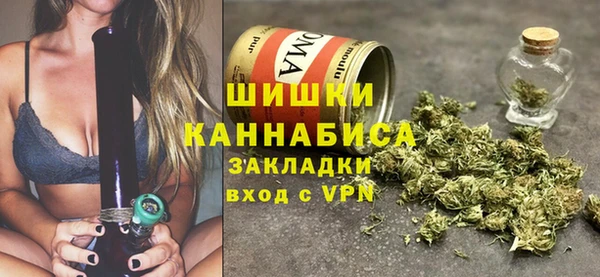 эйфоретик Болотное