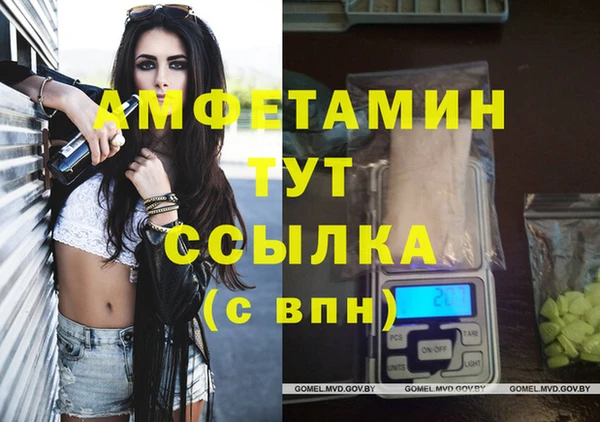 индика Абинск