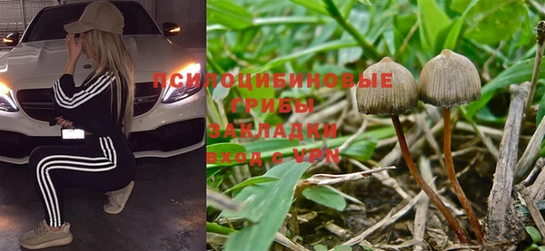 прущие крисы Сатка