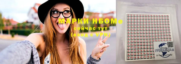 индика Абинск